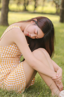 法海草白娘子
