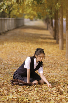 花房姑娘免费观看全集电视剧高清
